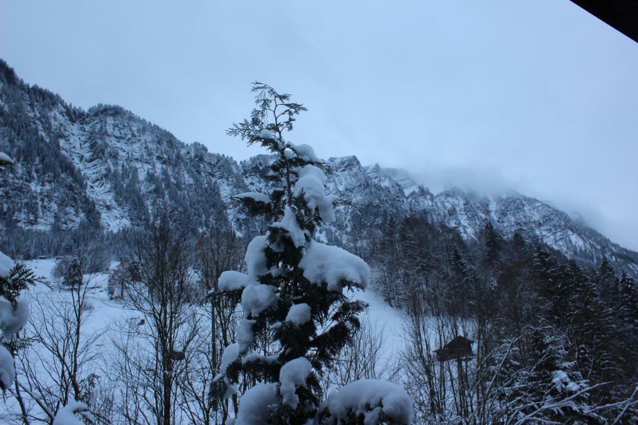 Chalet Burglauenen グリンデルヴァルト エクステリア 写真
